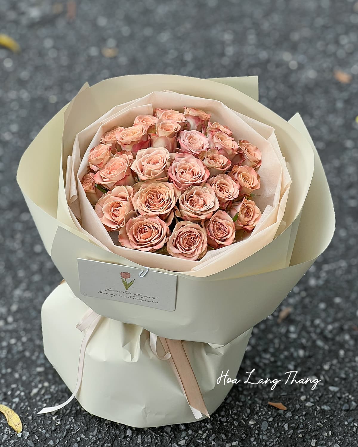 Hồng Nhập Khẩu