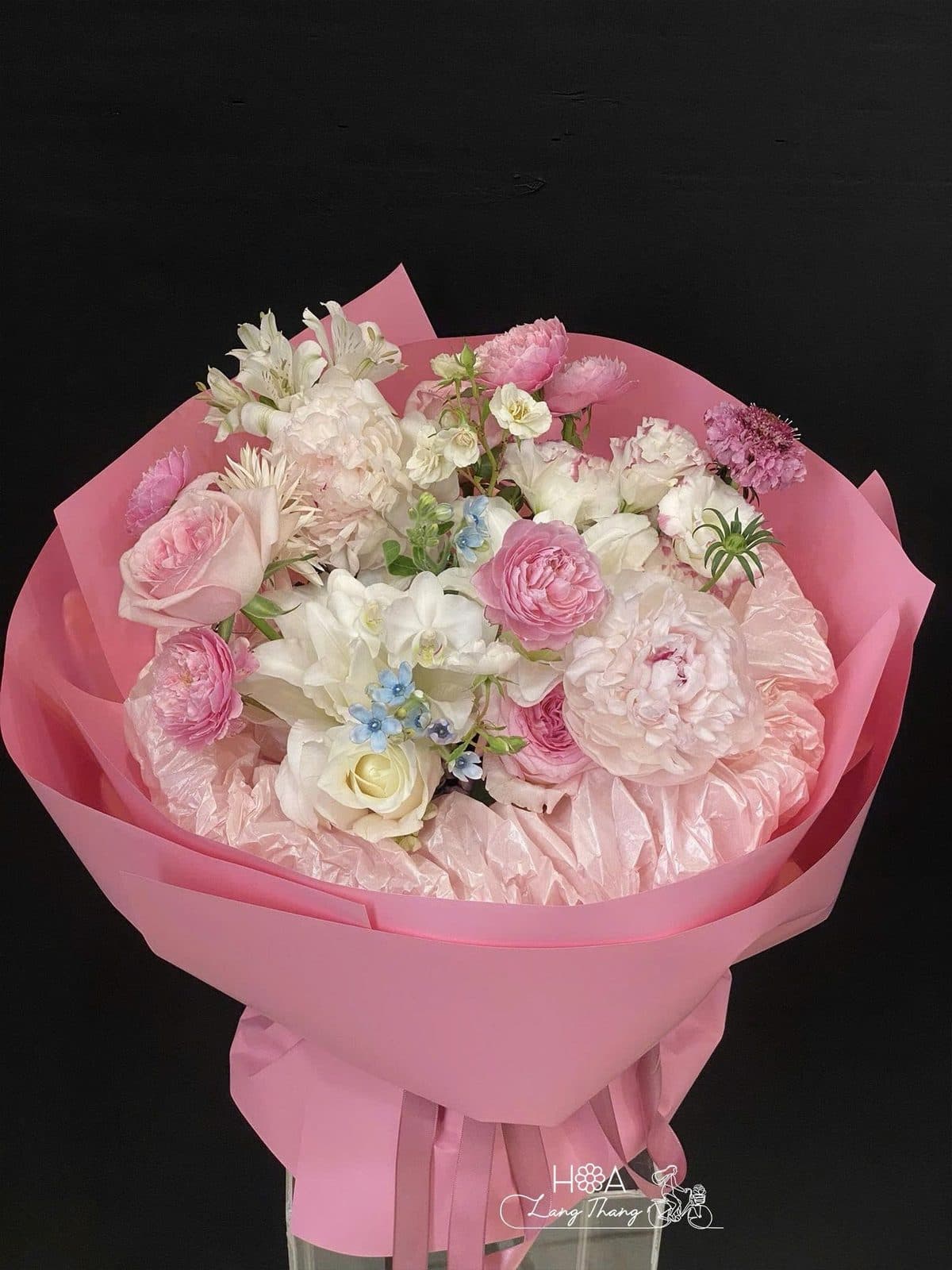 Nix tròn peony - Ảnh 1