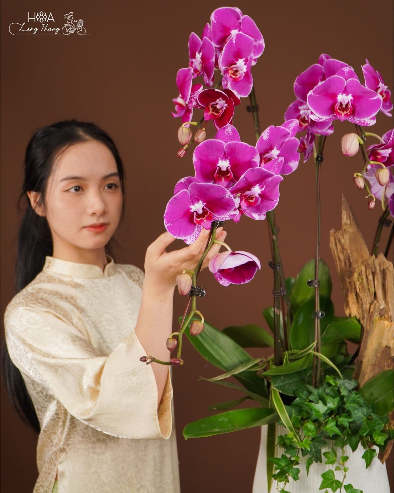 Lũa lan hồng - Thumbnail 4