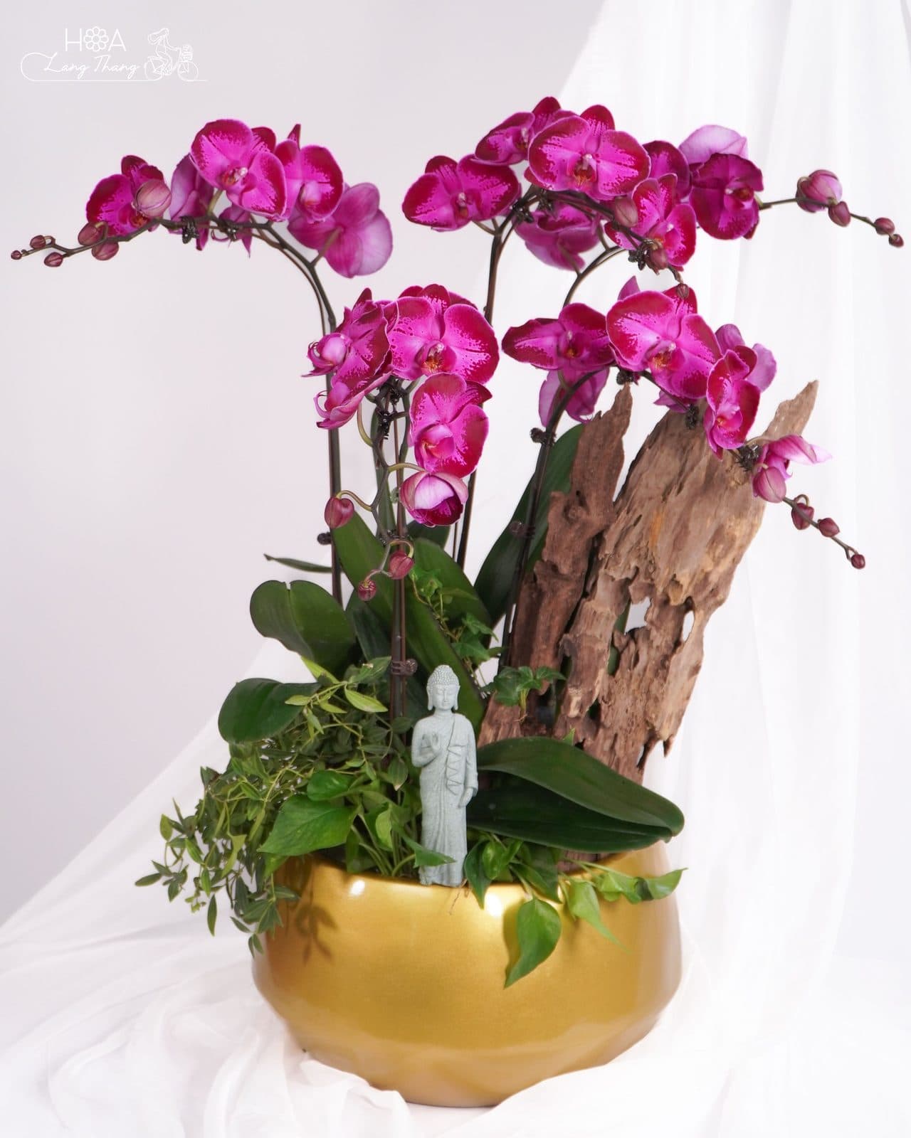 Lan Hồng lũa - Thumbnail 6