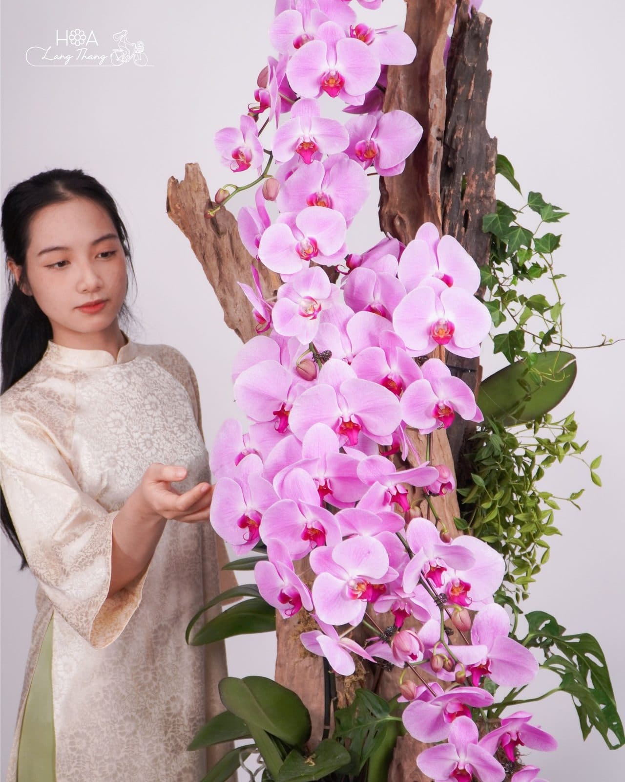 Phúc cát tường - Thumbnail 3