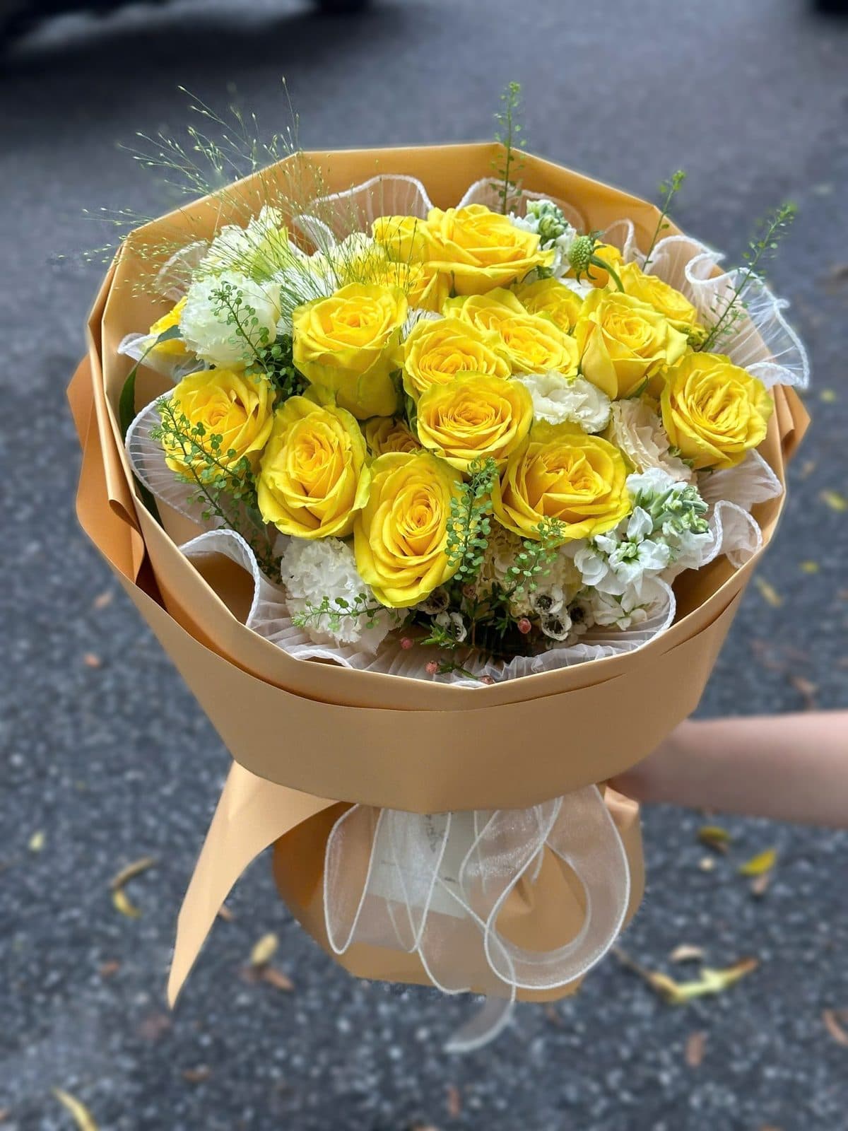 Hoa hồng vàng - Ảnh 1