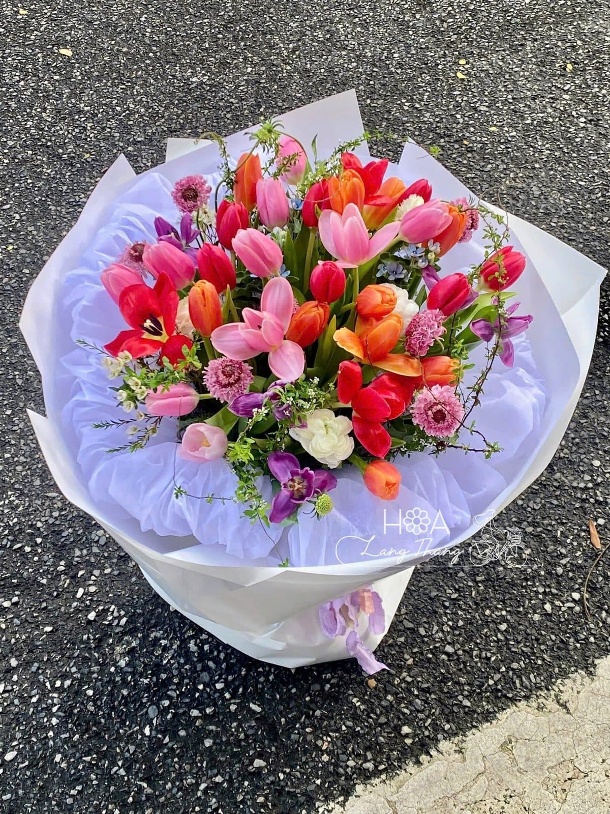 50 bông tulip mix - Ảnh 1