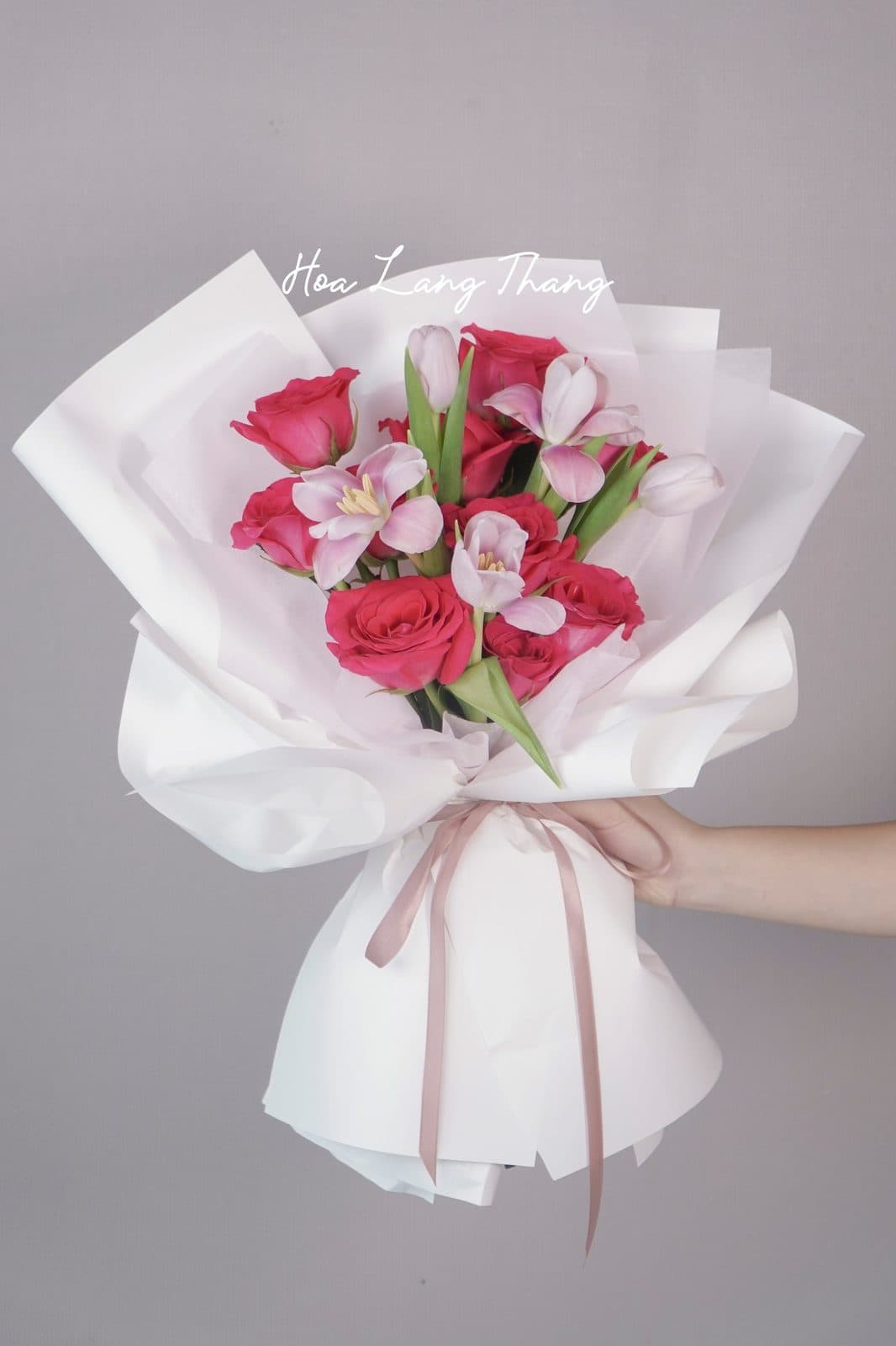 Rednaomi mix tulip - Ảnh 1