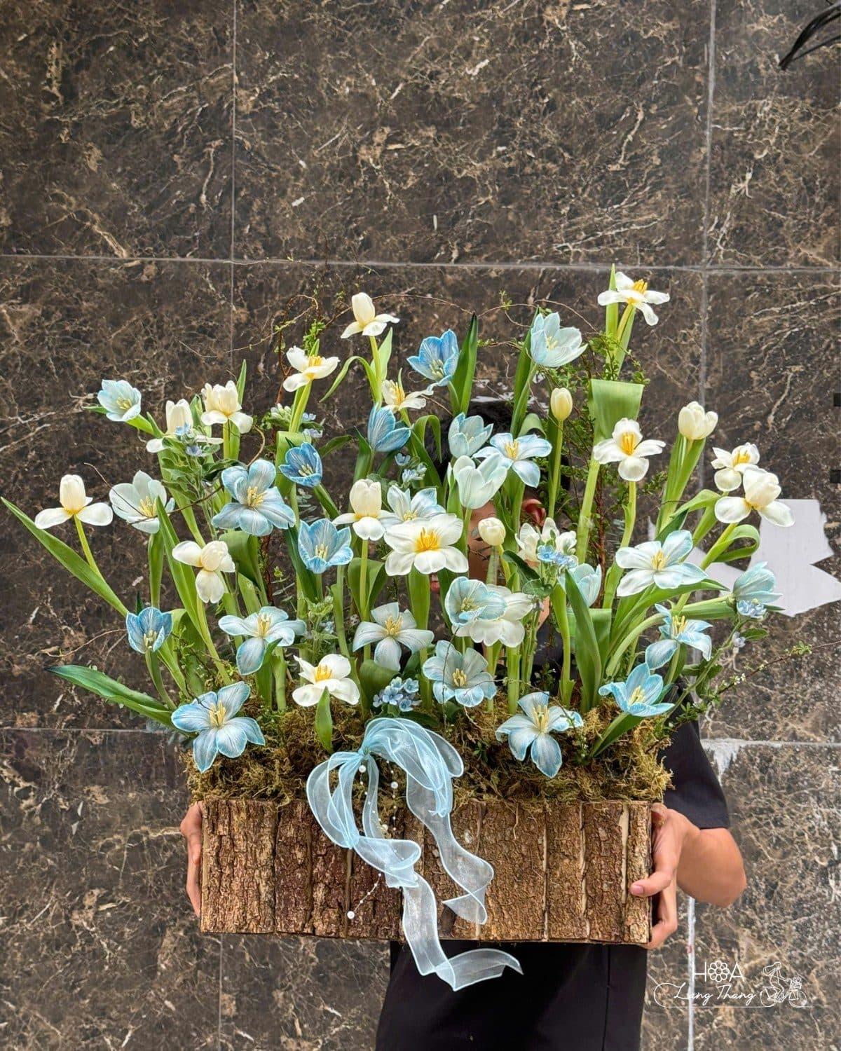 Tulip mix trắng xanh nhạt box gỗ - Ảnh 1