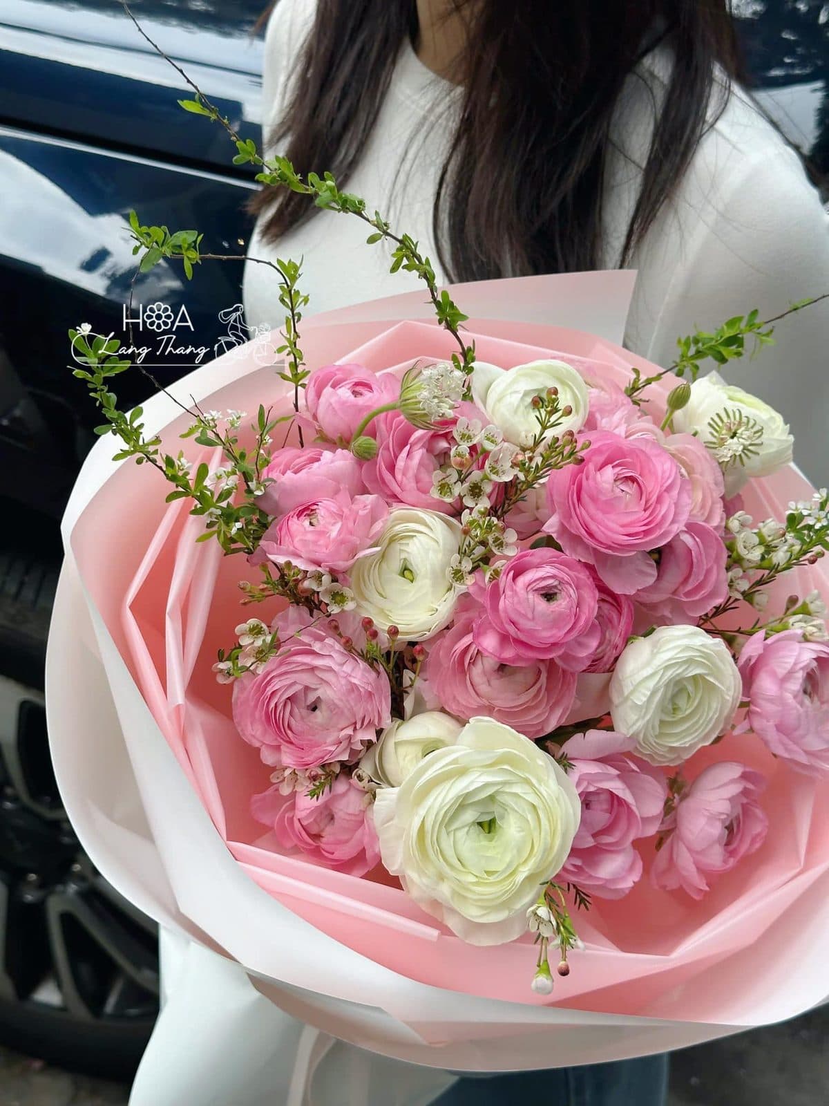 Mao lương bó tròn - Thumbnail 2