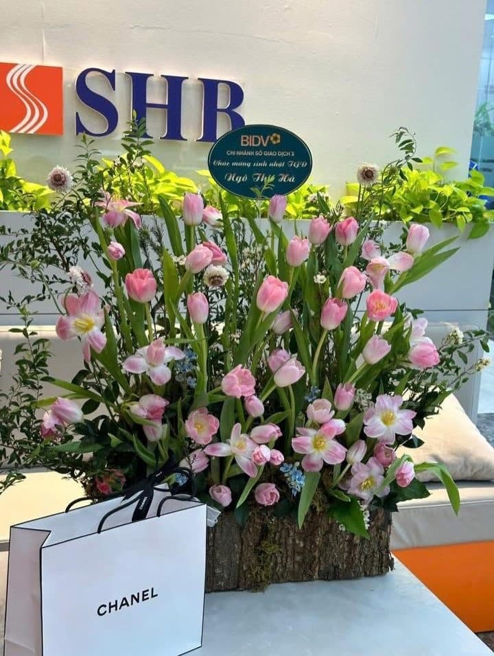 Box gỗ sz lớn daisy - Ảnh 1