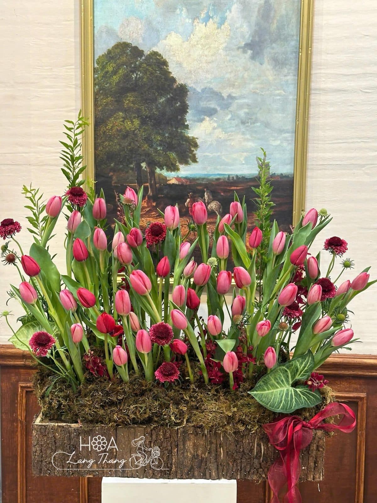Tulip gỗ - Ảnh 1