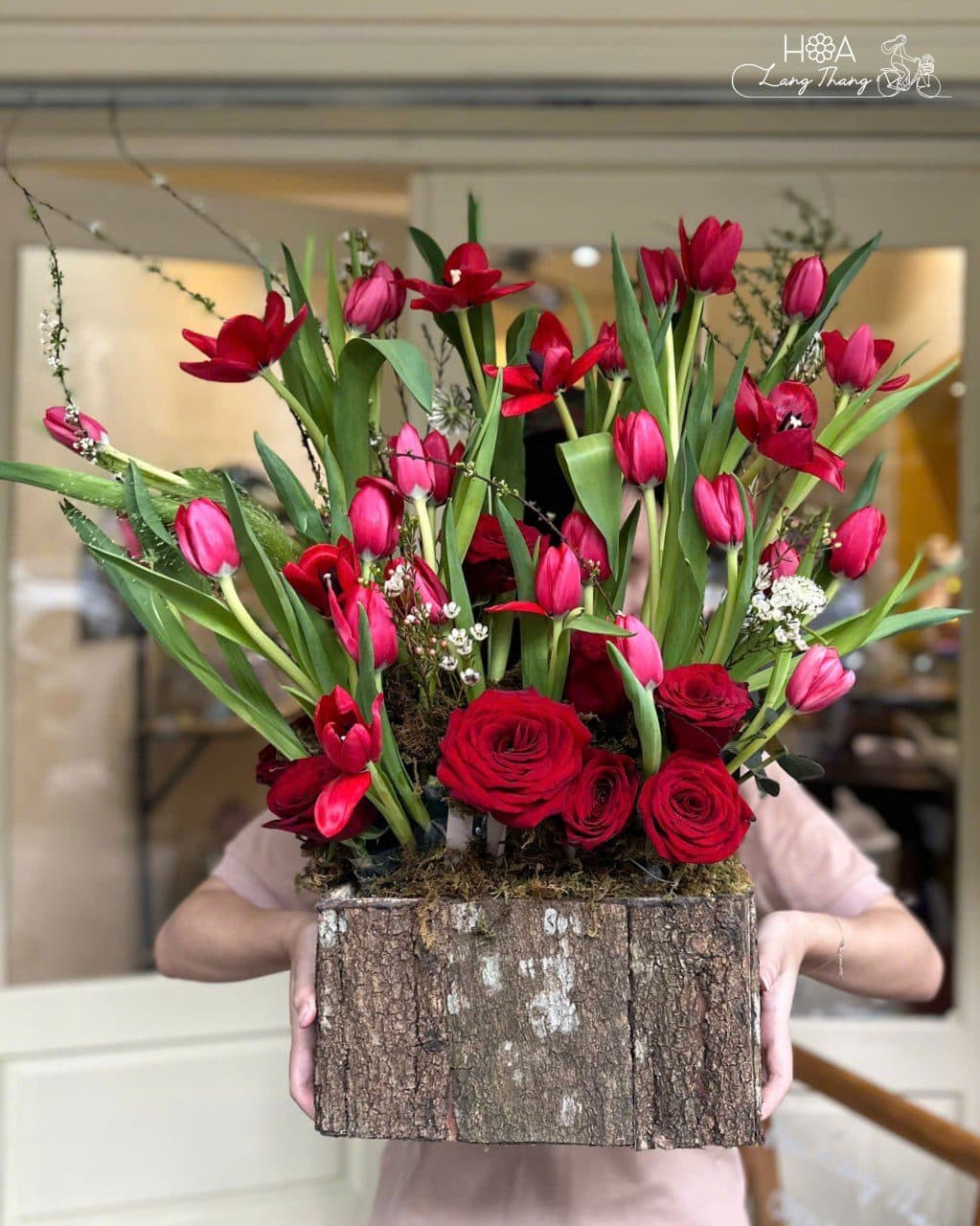 Tulip đỏ sx vừa - Ảnh 1