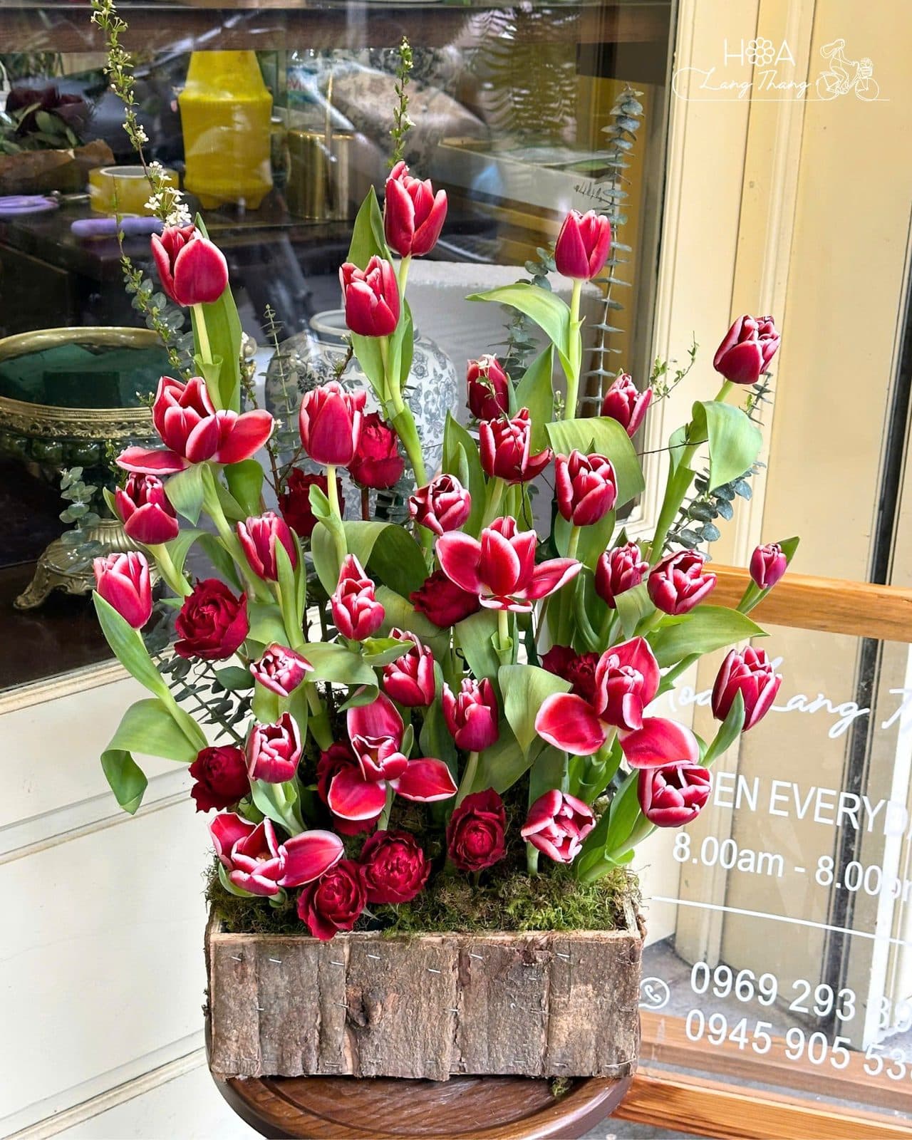 Tulip đỏ sz L - Thumbnail 2