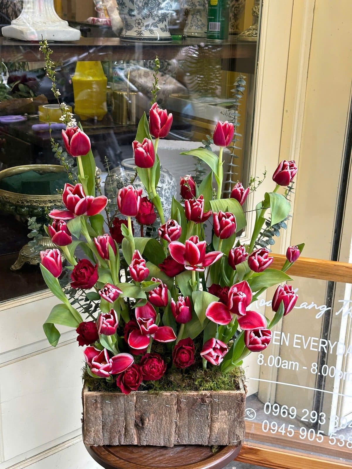 Tulip đỏ sz L - Thumbnail 4