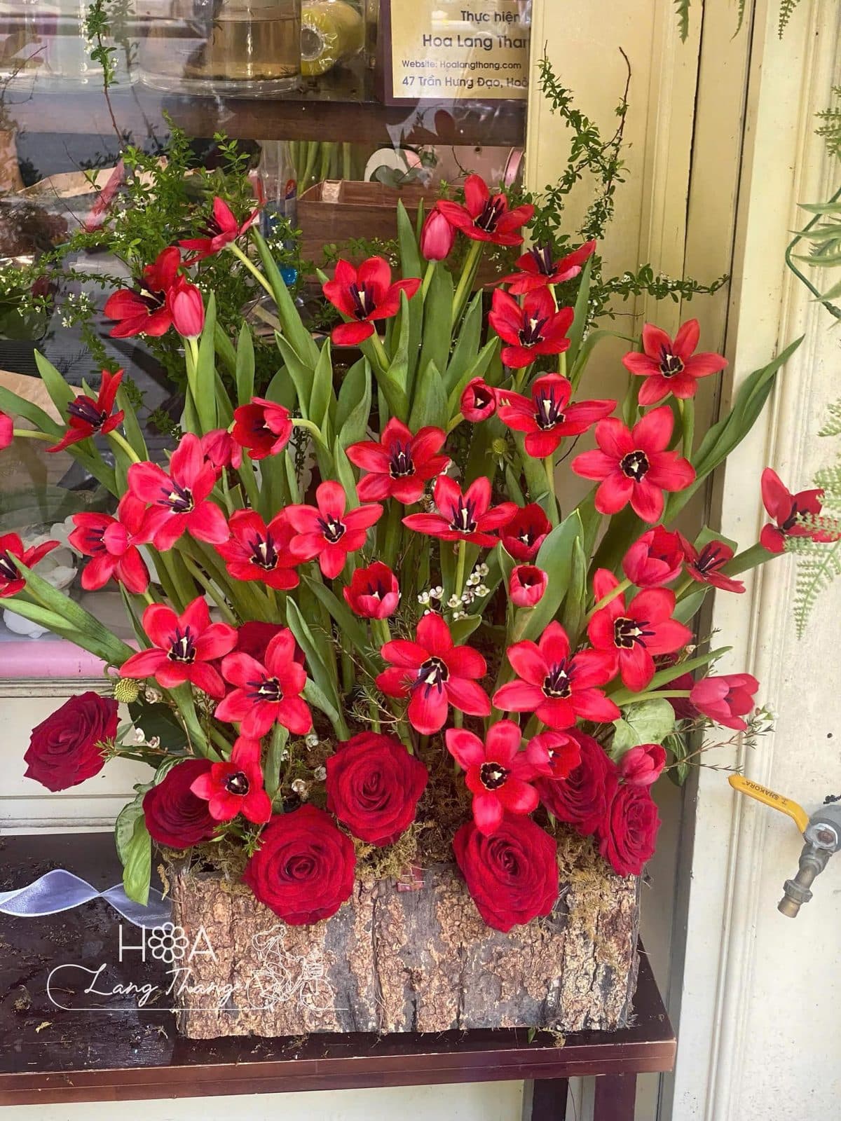 Tulip đỏ sz L - Thumbnail 5