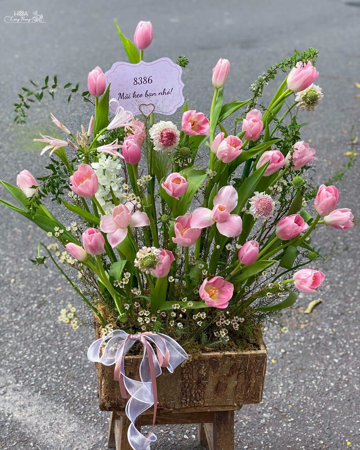 Box gỗ tulip mix - Thumbnail 4
