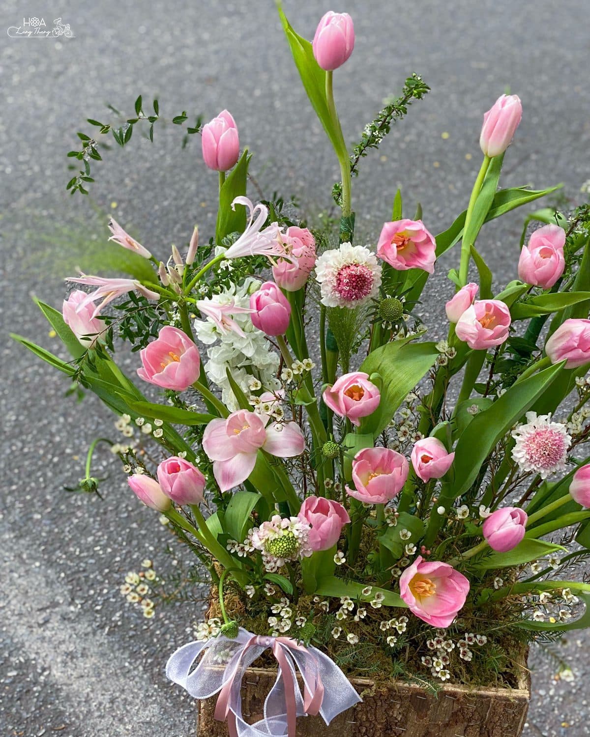 Box gỗ tulip mix - Thumbnail 5
