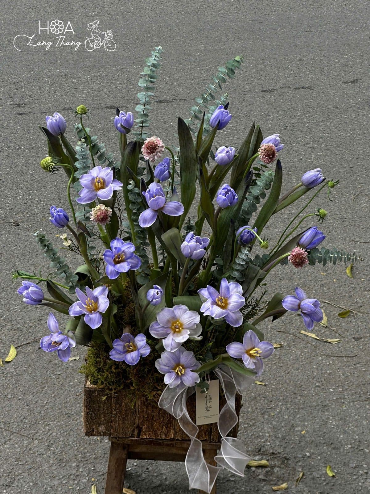 Hộp gỗ tulip nhuộm - Ảnh 1