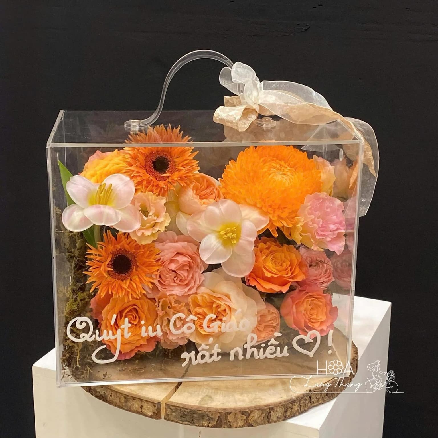 Vali cam - Ảnh 1