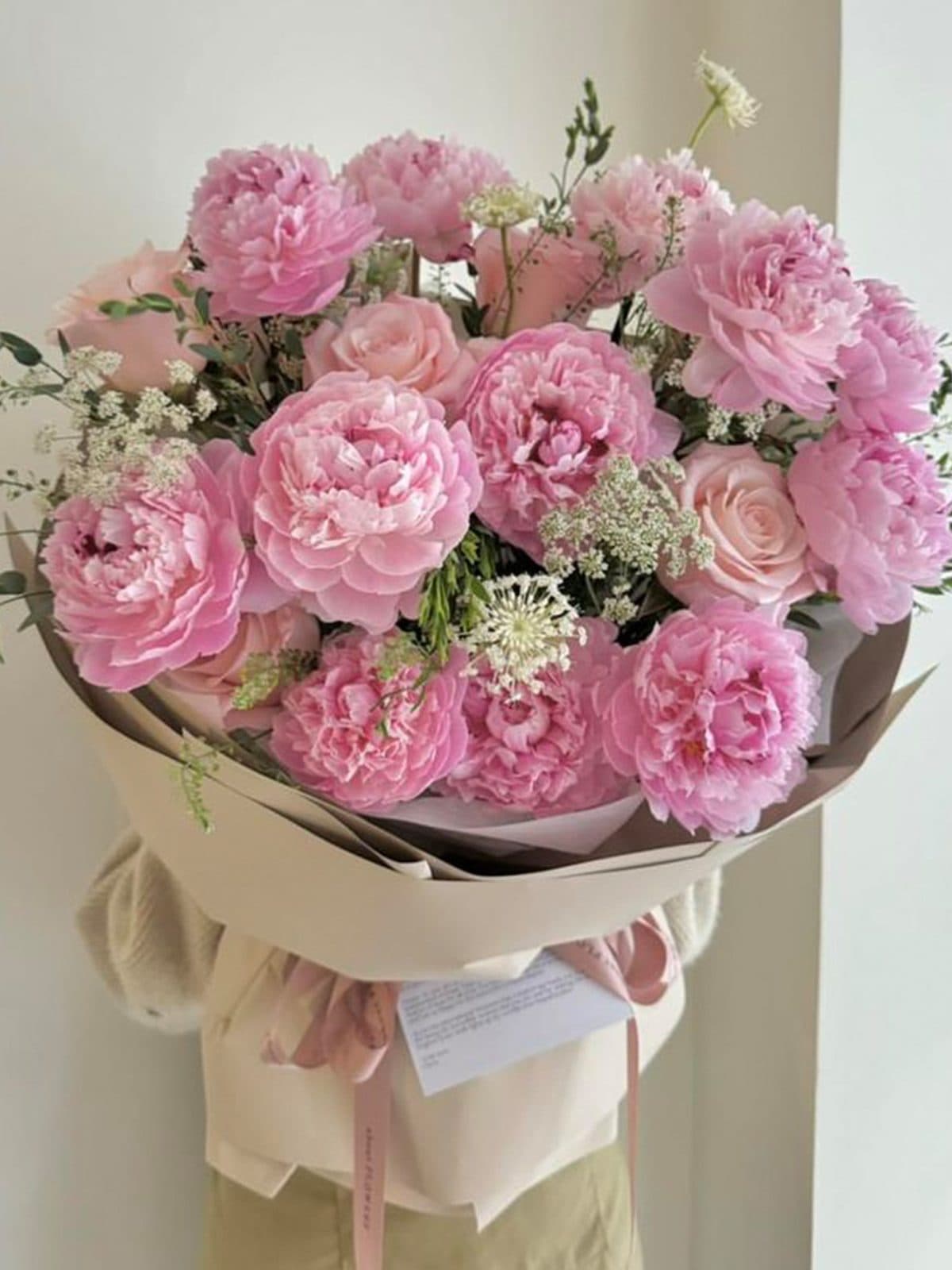 Peony - Ảnh 1