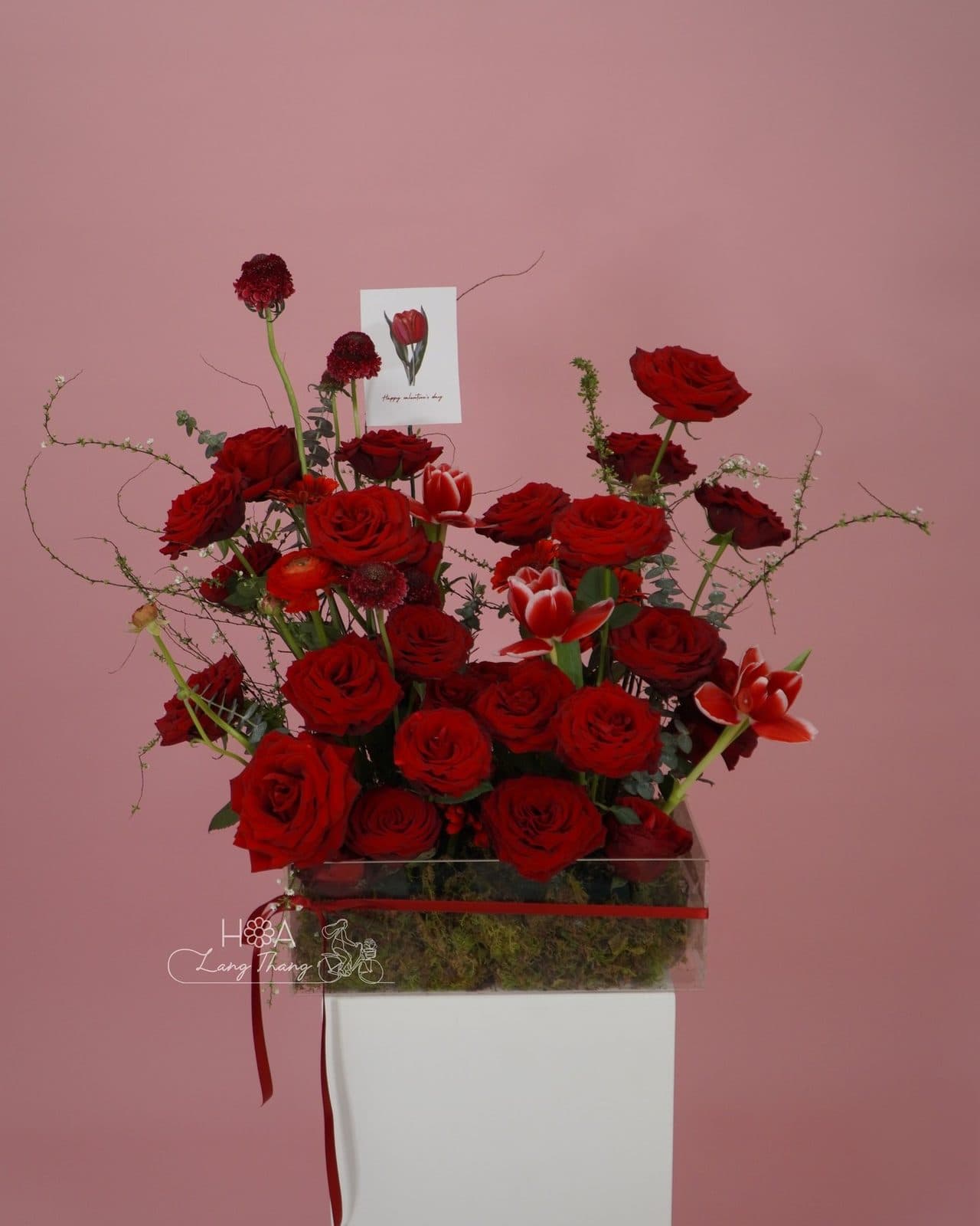 Vuông rednaomi mix tulip viền - Ảnh 1