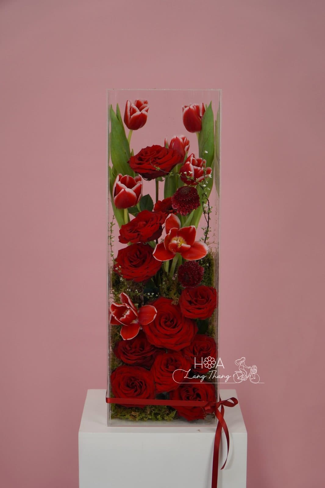 Hình vuông rednaomi mix tulip - Thumbnail 3