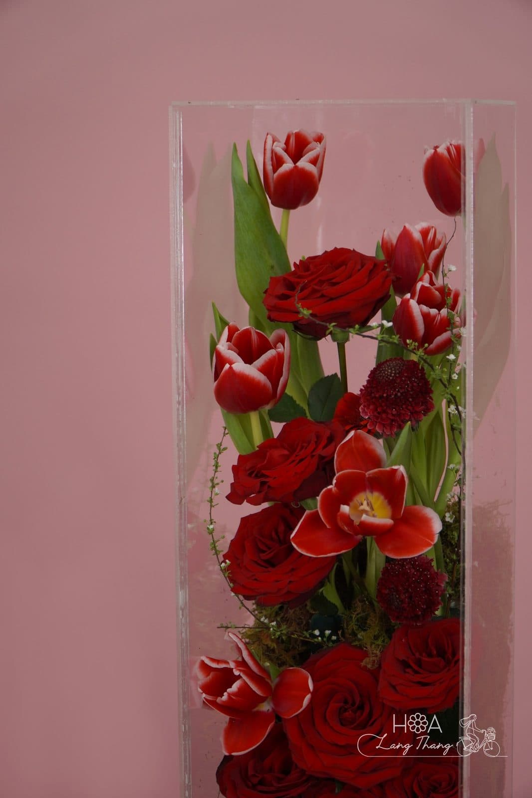 Hình vuông rednaomi mix tulip - Thumbnail 4