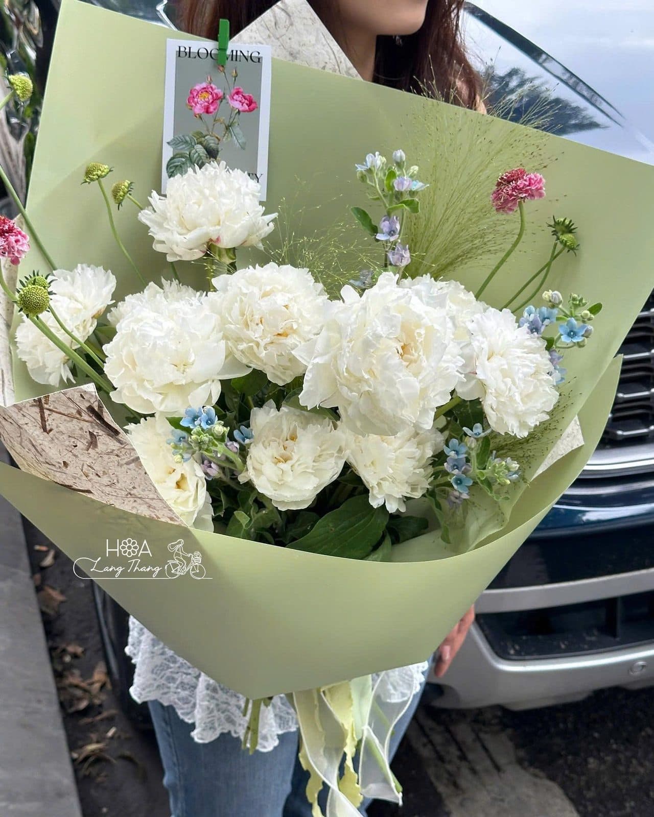 Peony - Ảnh 1