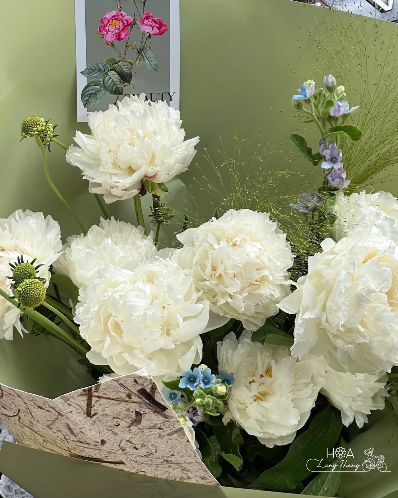 Peony - Thumbnail 2