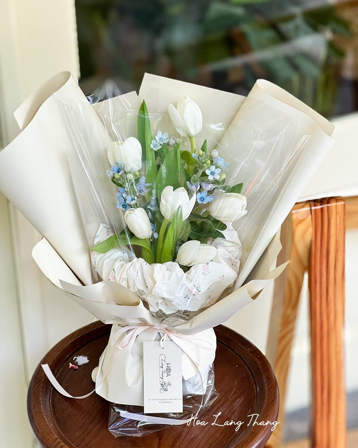 Tulip trắng - Ảnh 1