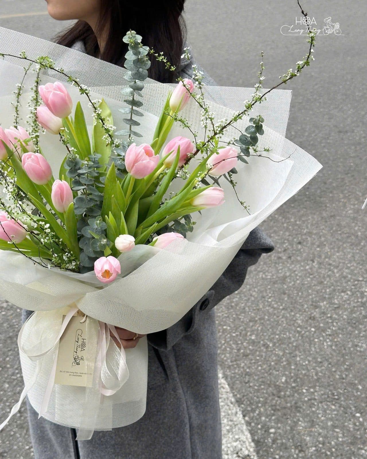 Tuliip hồng mix - Ảnh 1