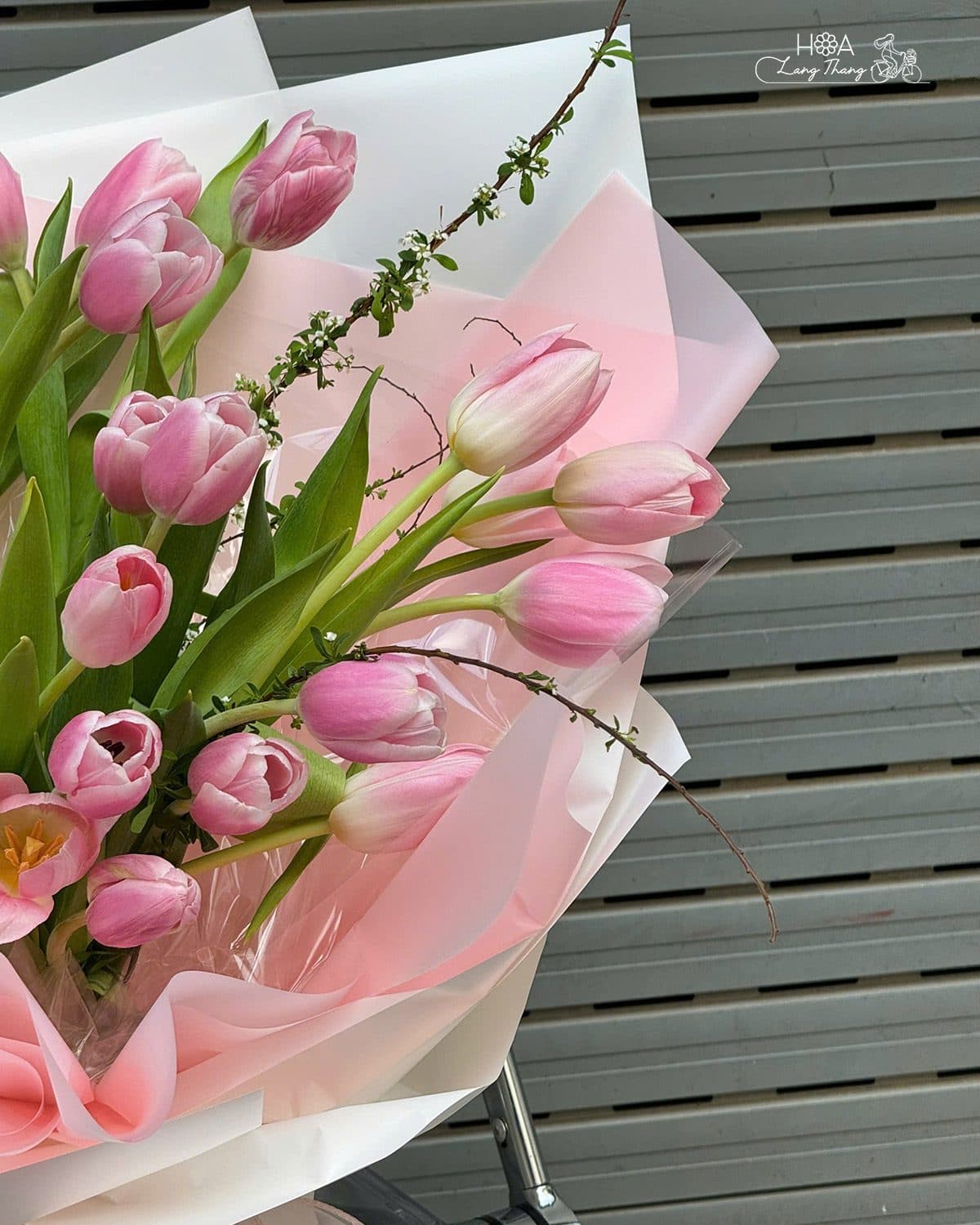 Tulip 30 bông - Ảnh 1