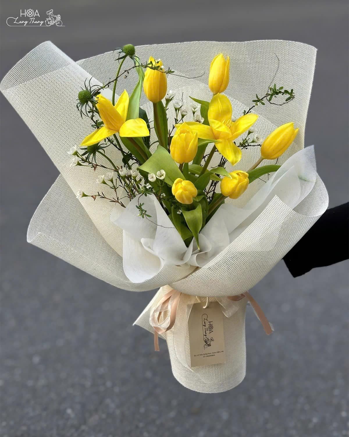 Tulip vàng - Ảnh 1