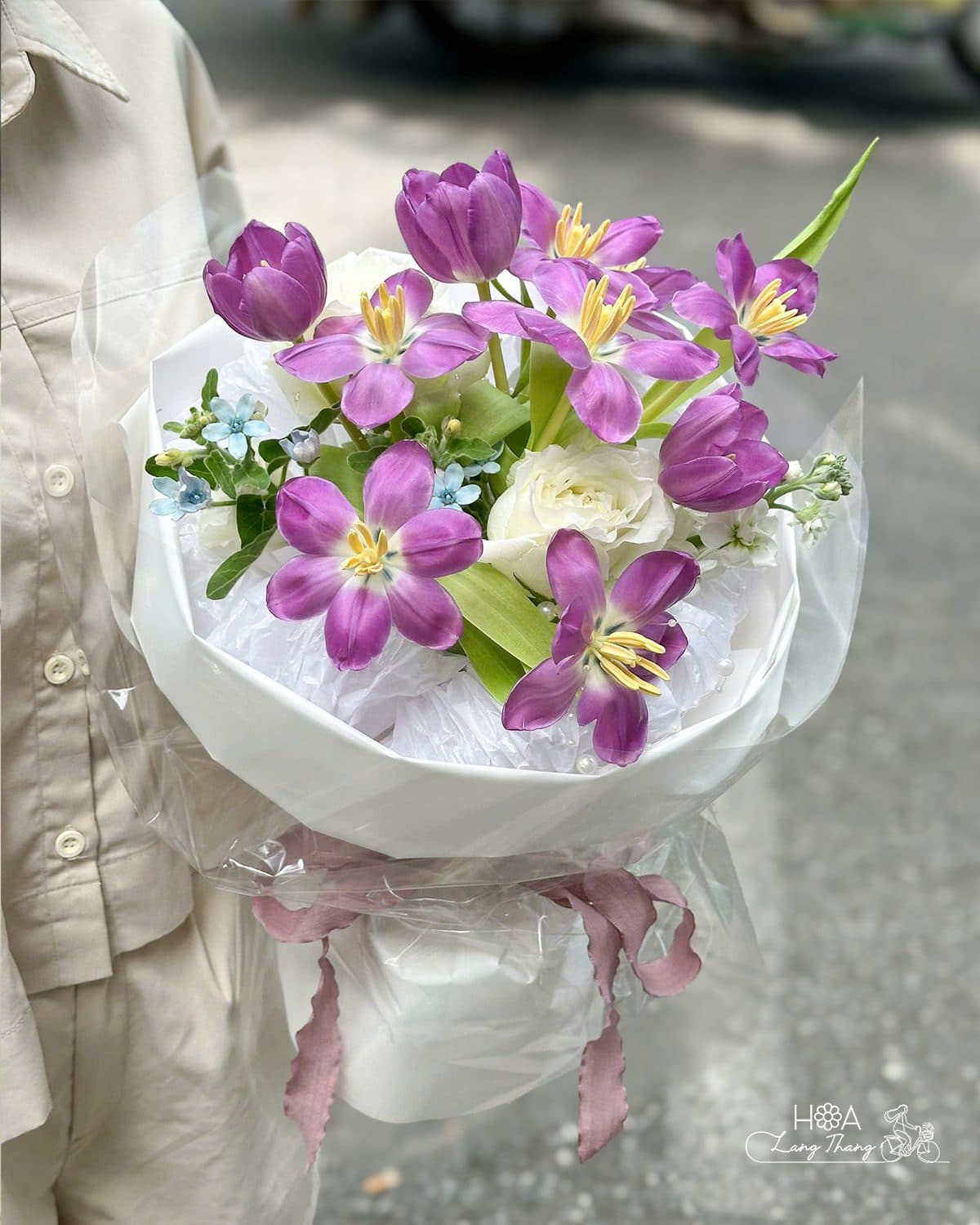Tulip tím - Ảnh 1