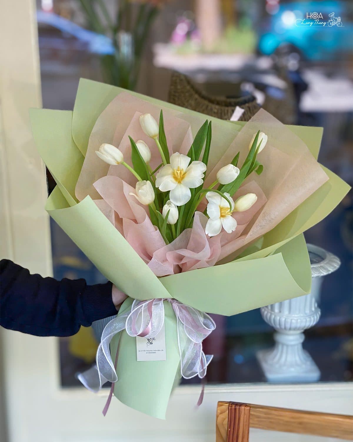 Tulip trắng - Ảnh 1