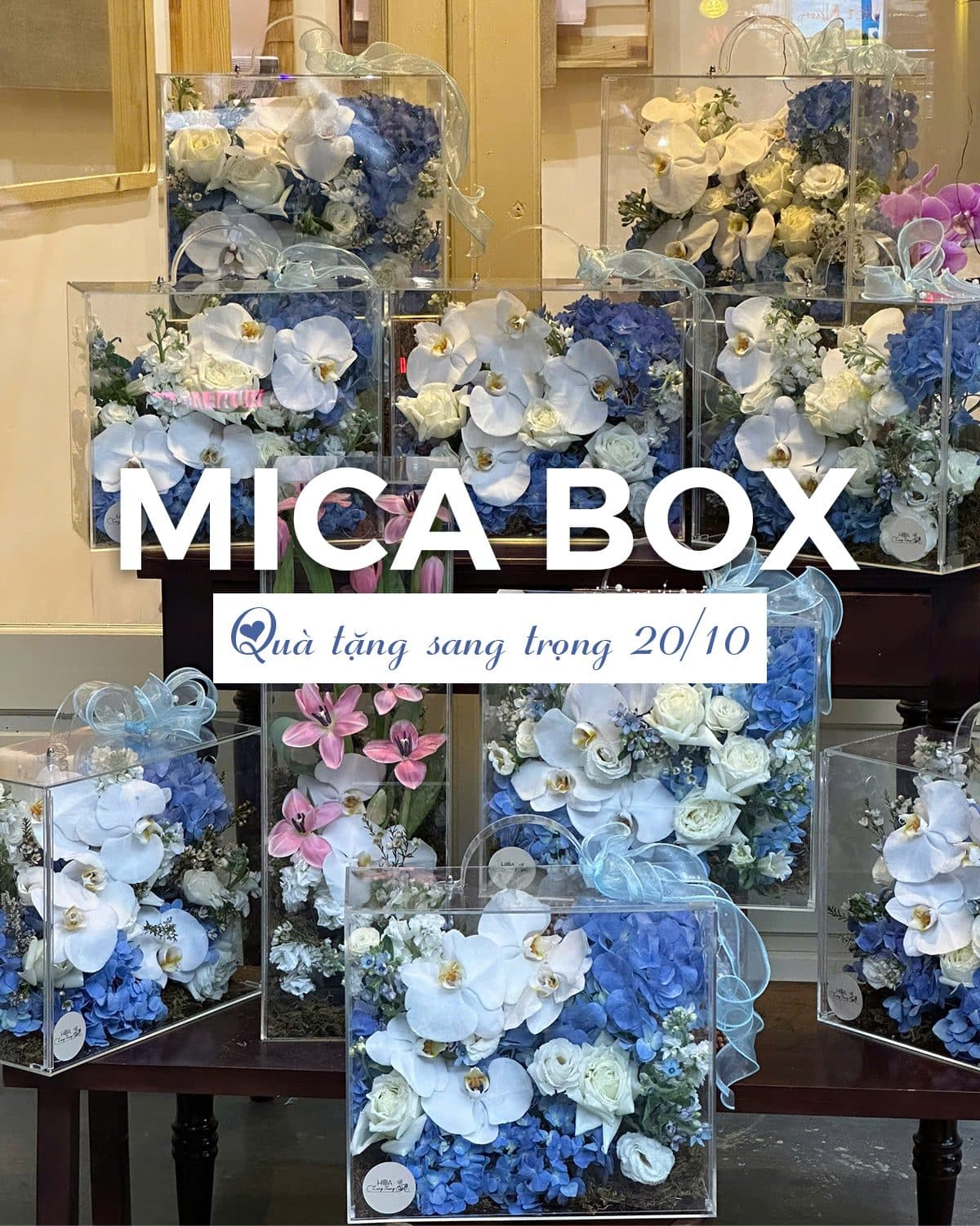 Box tú cầu hot được chuộng - Thumbnail 3