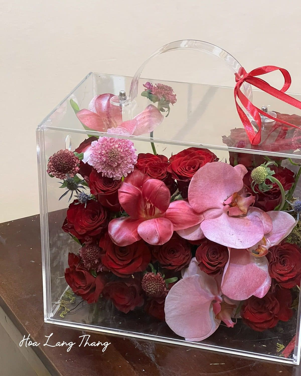 Vali sz vừa mix rednaomi , lan hồ điệp - Ảnh 1
