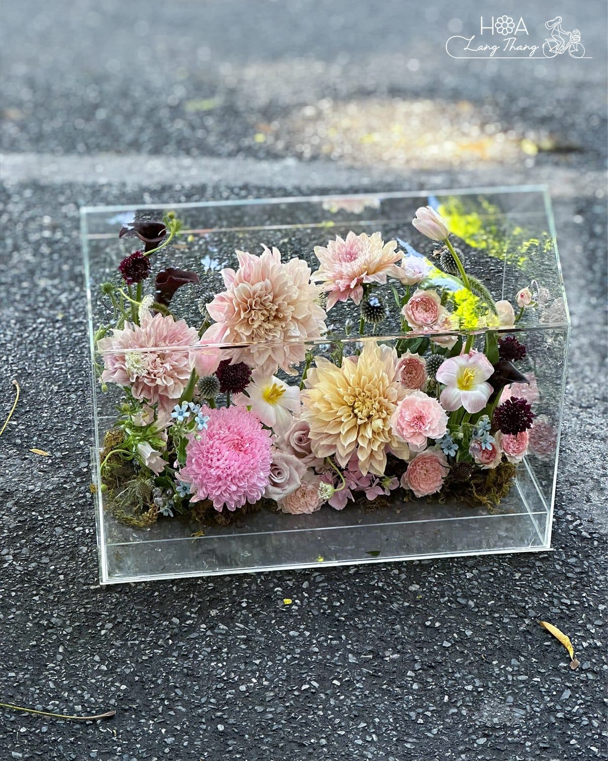 Box nhà mix calla , tulip , thược dược - Ảnh 1