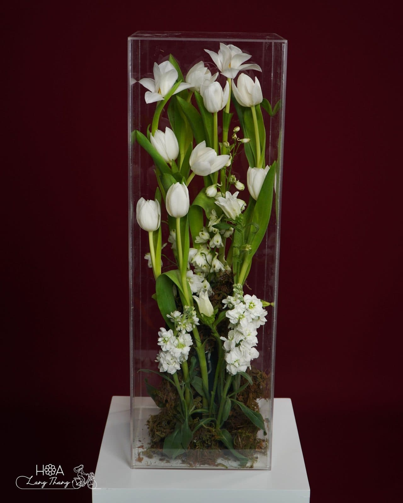 Chữ nhật tulip trắng - Thumbnail 2