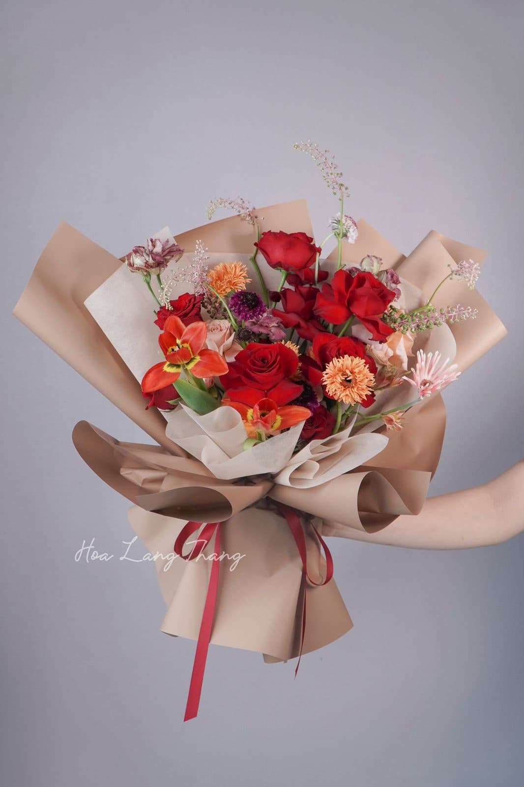Rednaomi mix tulip - Ảnh 1