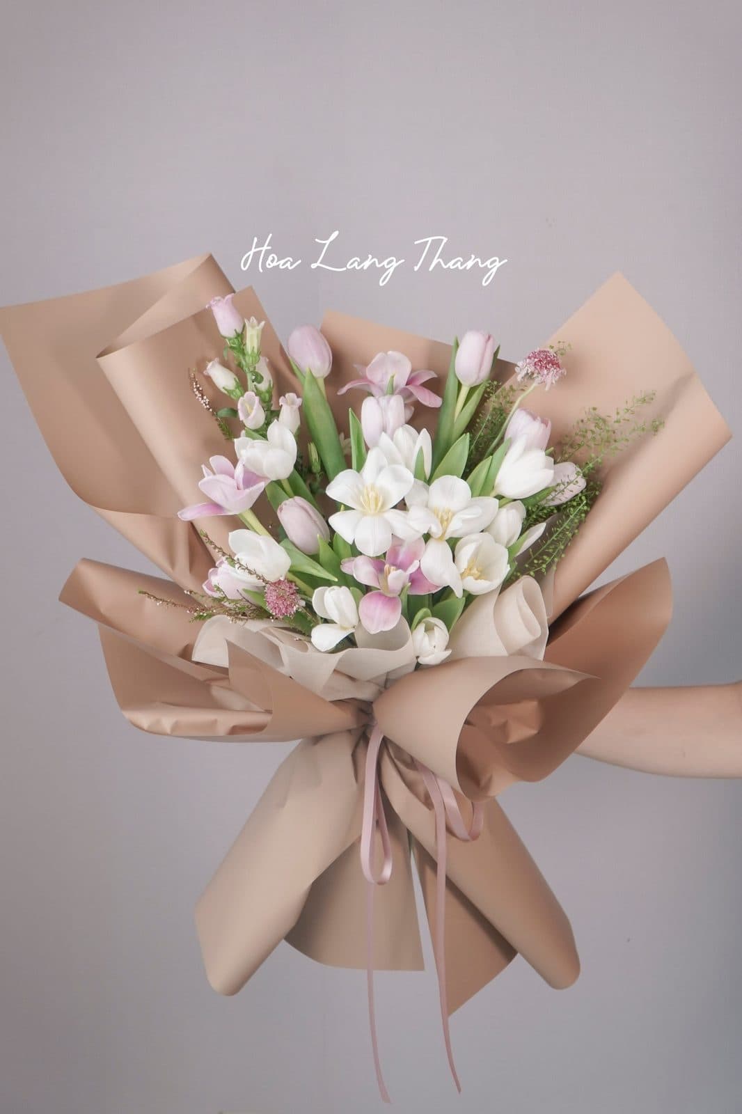 Tulip hồng trắng giấy be nâu 20 bông