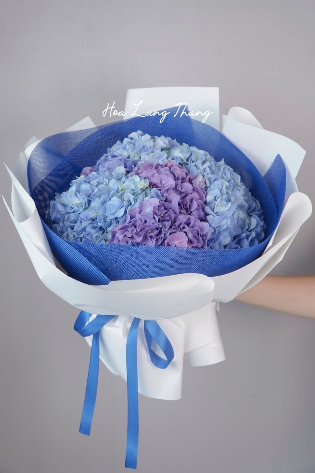 Bó tú cầu xanh mix tím - Ảnh 1