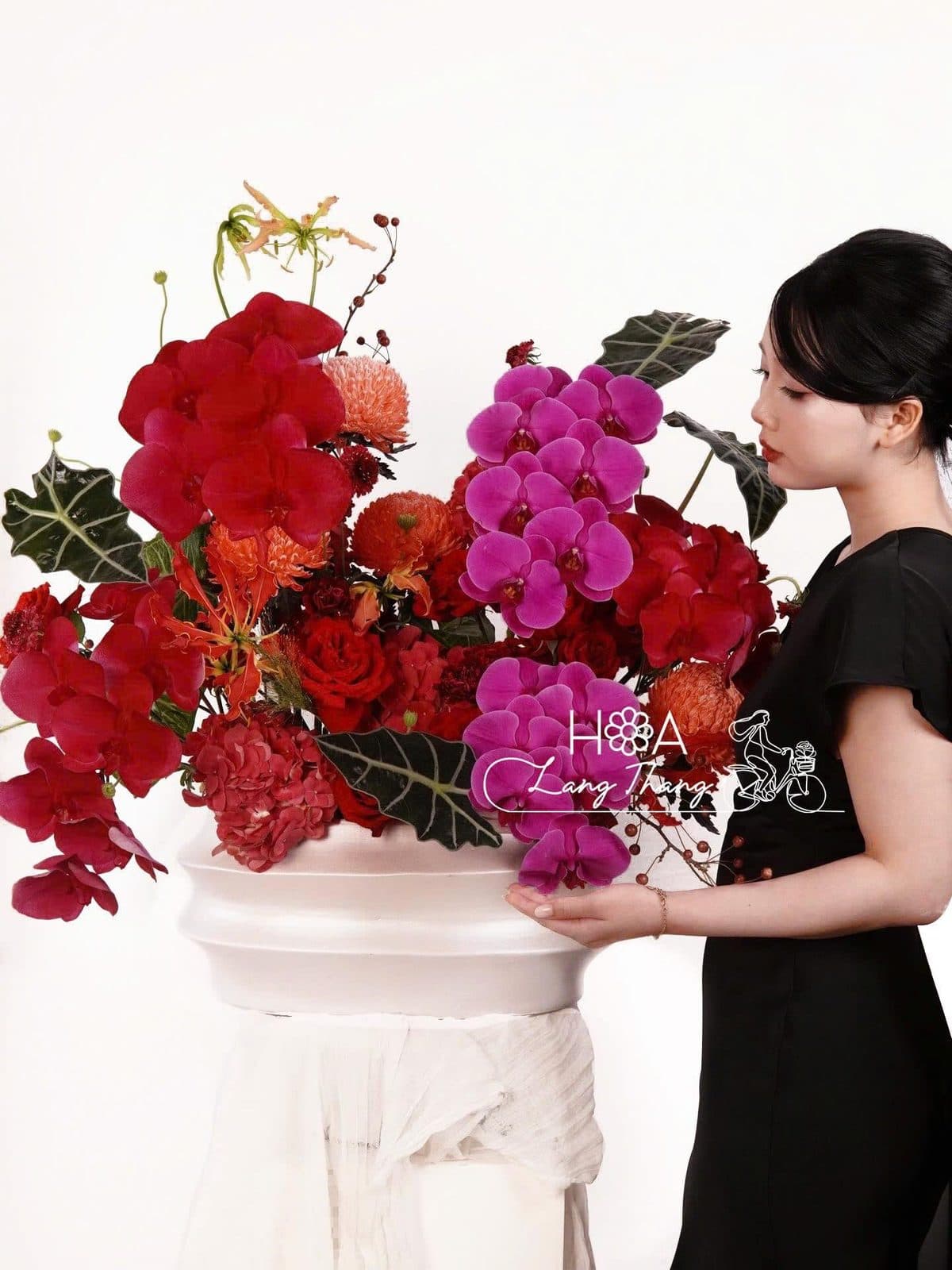 Bình lan hồ điệp mix - Ảnh 1