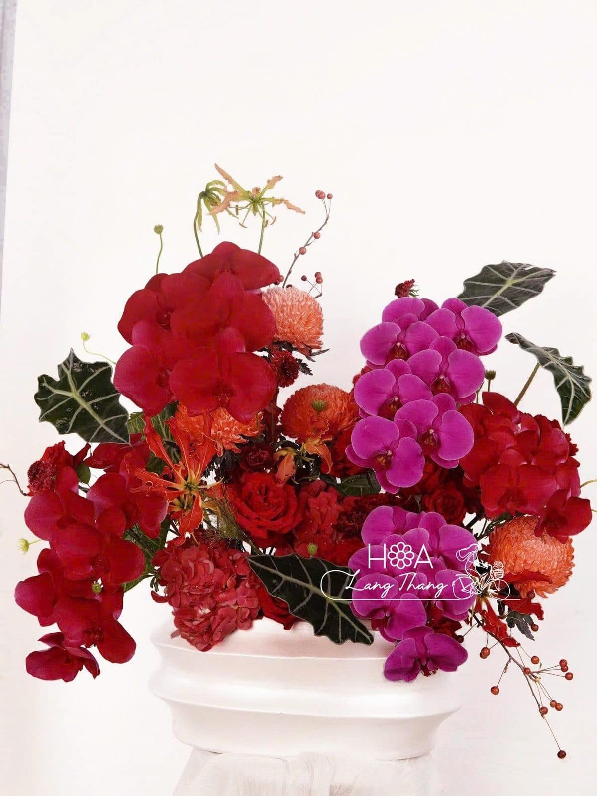 Bình lan hồ điệp mix - Thumbnail 4