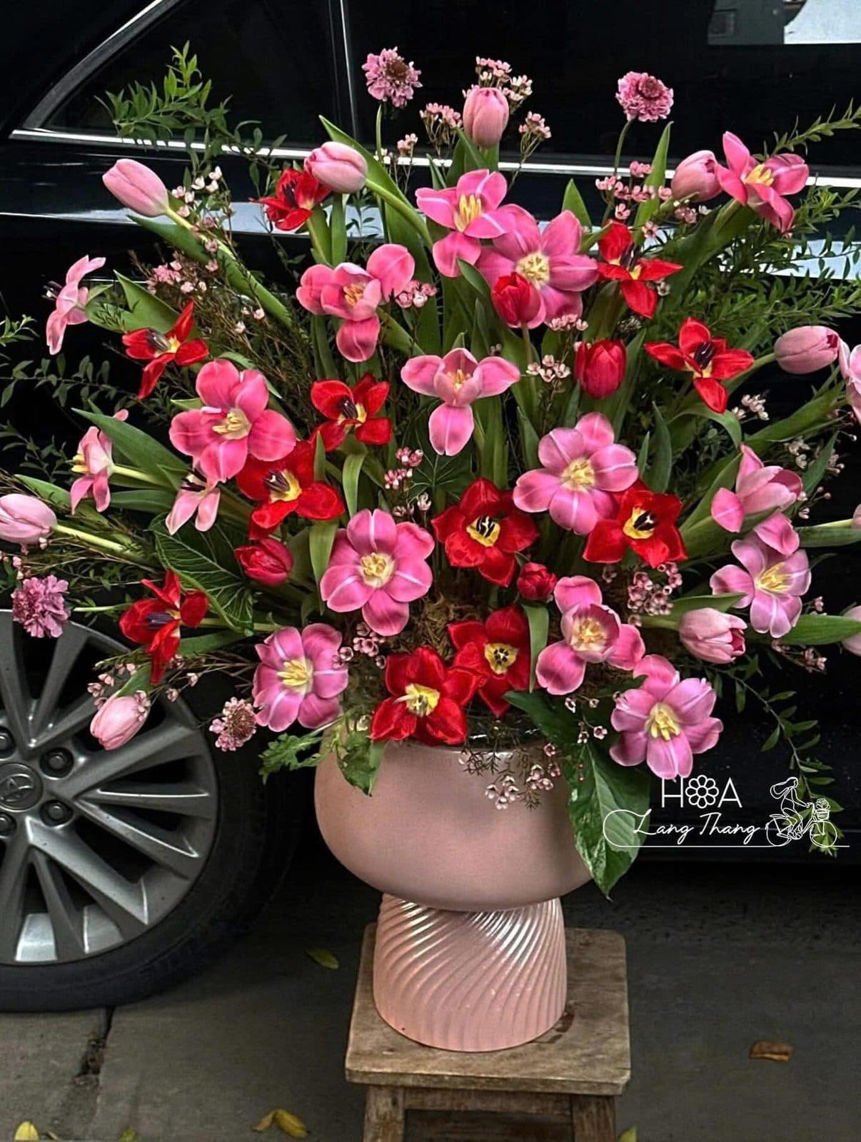 Tulip hồng mix tulip đỏ - Ảnh 1