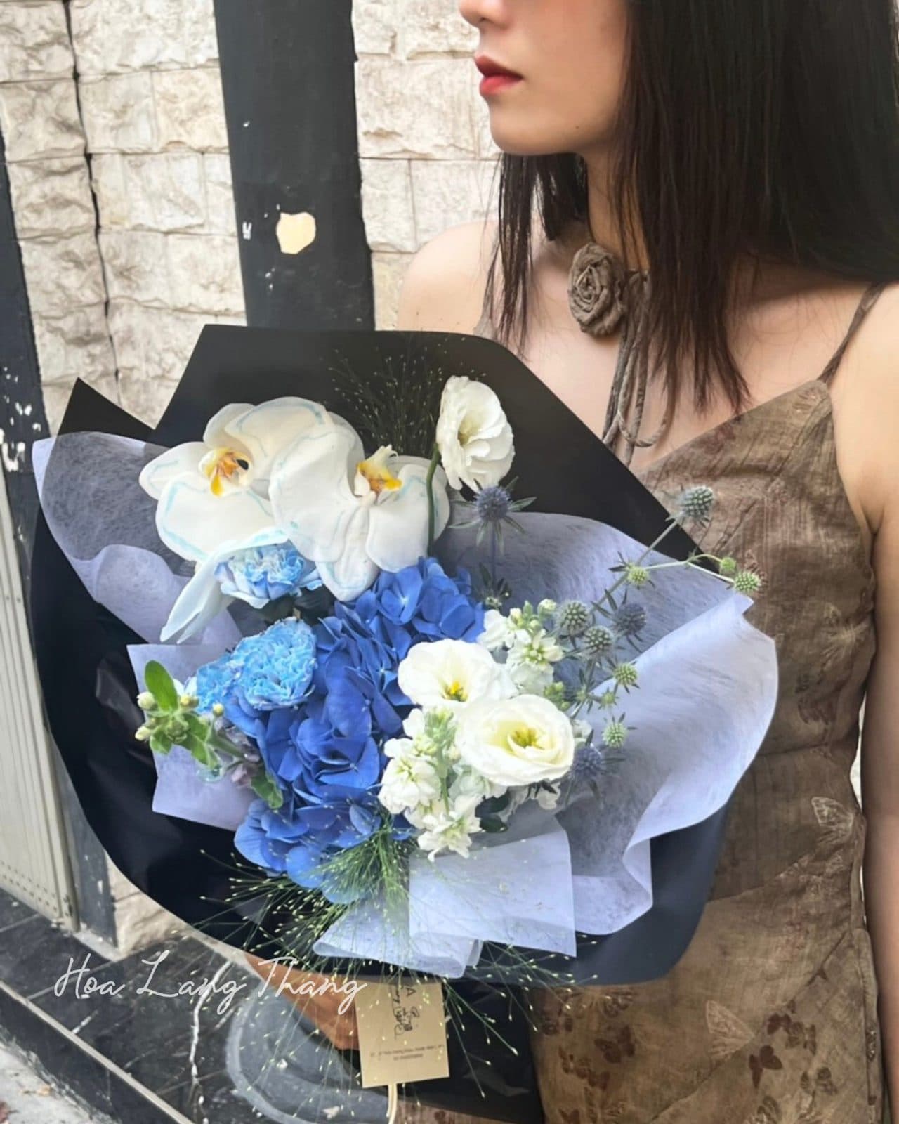 Tú cầu mix lan hồ điệp