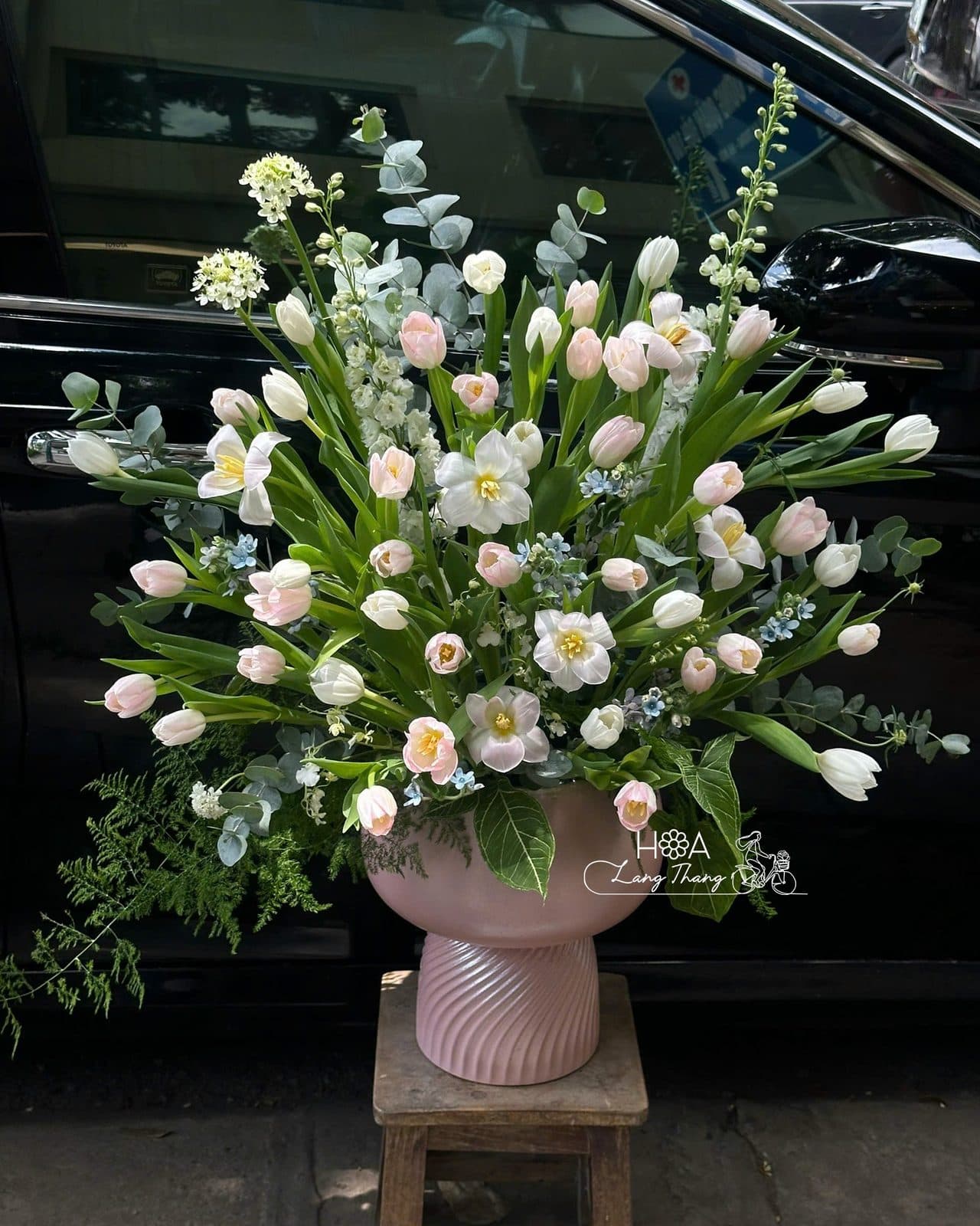 Bình tulip ha lan - Ảnh 1