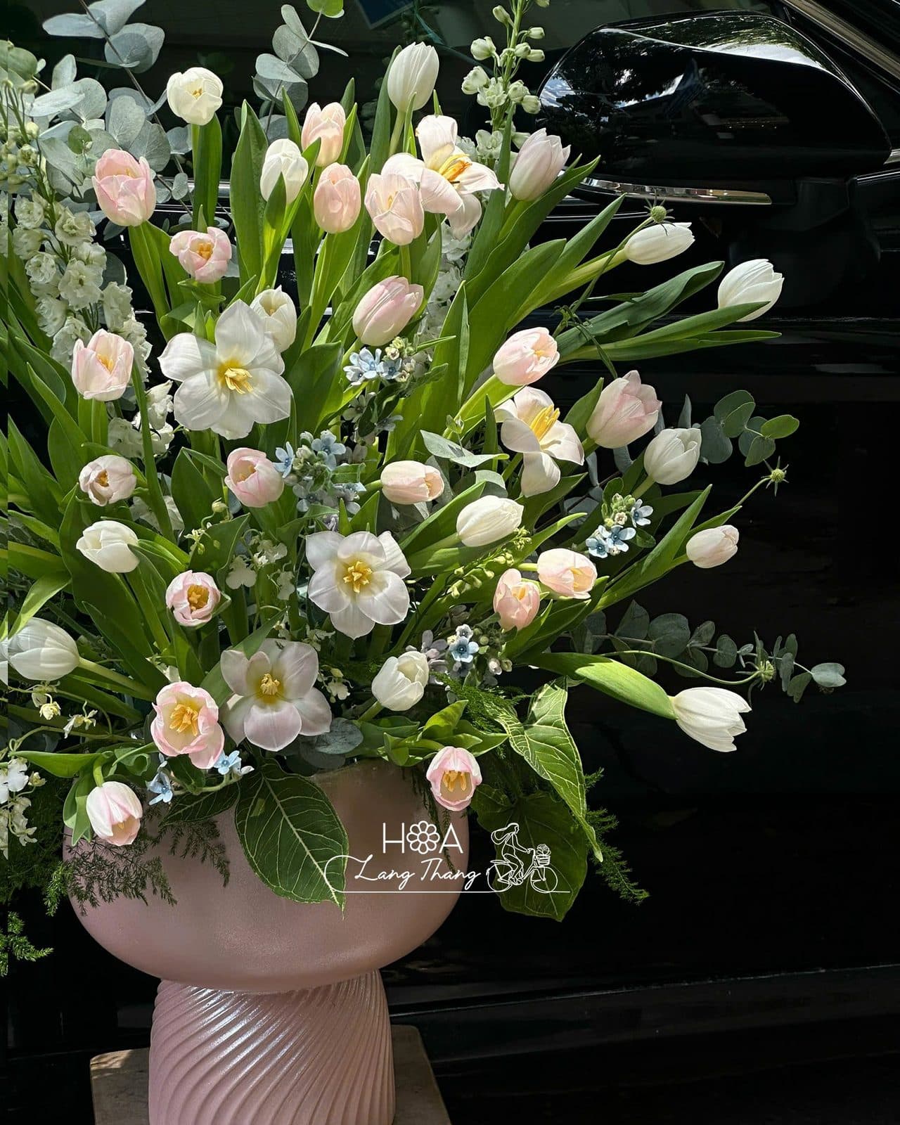 Bình tulip ha lan - Thumbnail 3