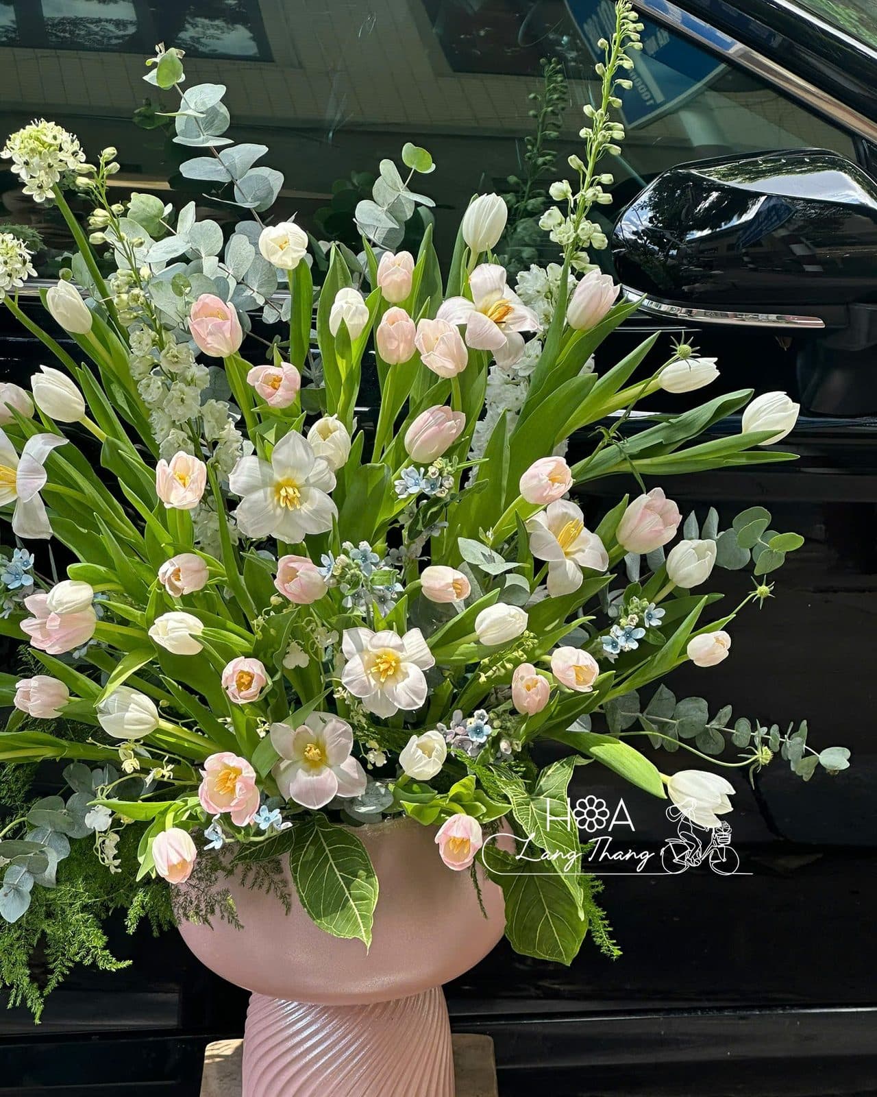 Bình tulip ha lan - Thumbnail 5