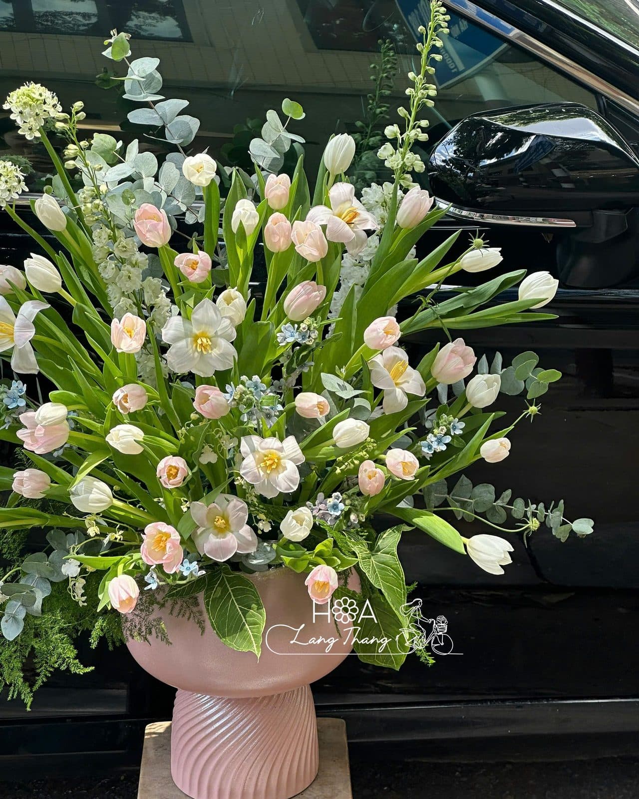Bình tulip ha lan - Thumbnail 6