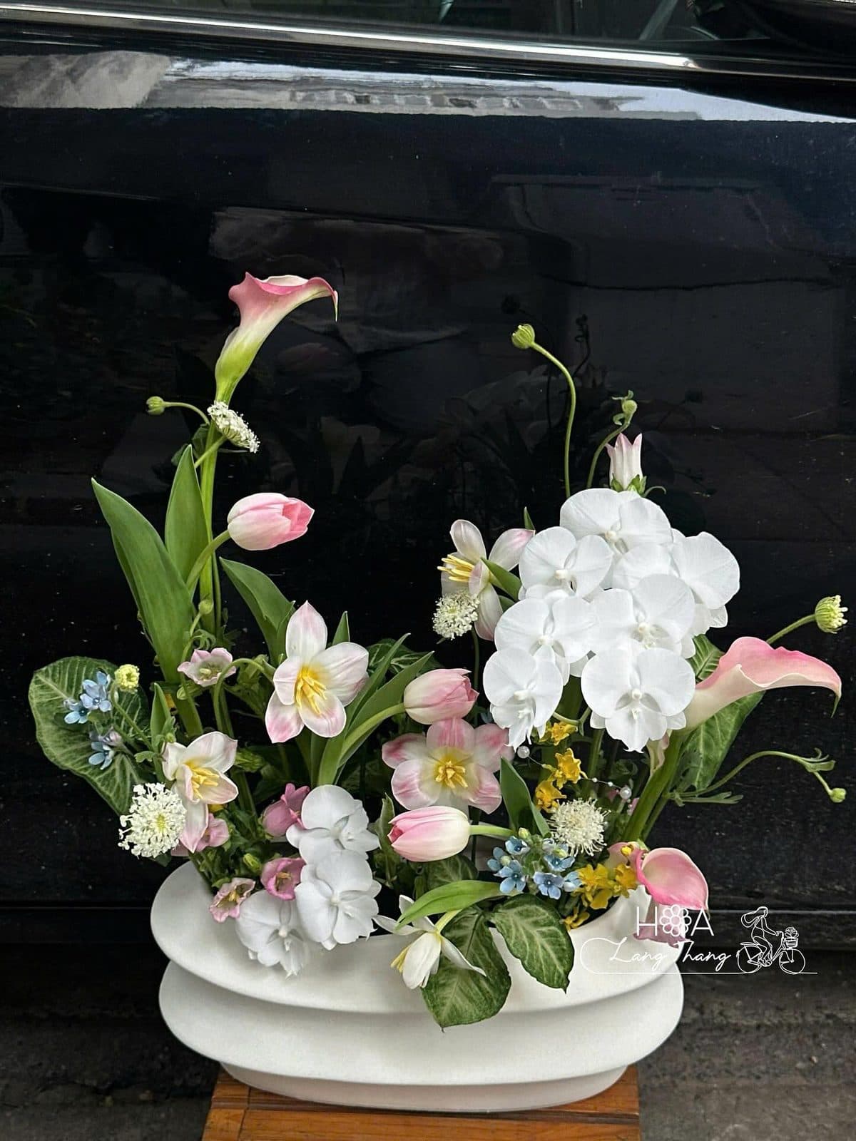 Bình sóng tulip mix lan điệp nhí