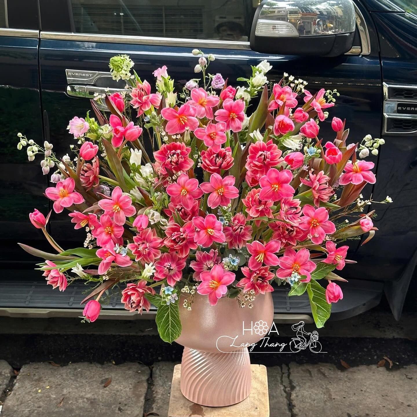 Tulip hồng nhuộm mix tulip nhiều cánh