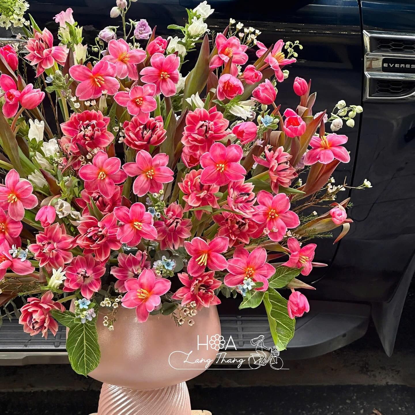 Tulip hồng nhuộm mix tulip nhiều cánh - Thumbnail 2